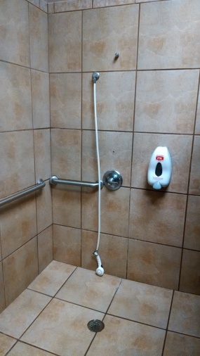 Handicapped shower is handicapped.